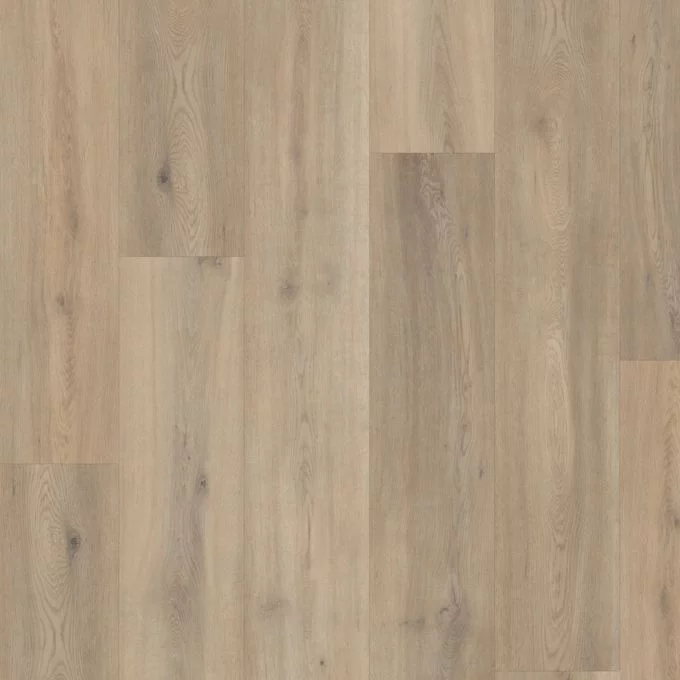 Naked Blond Oak